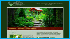 Studio Design Websites